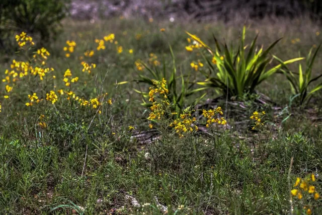 a view of a lake with beach