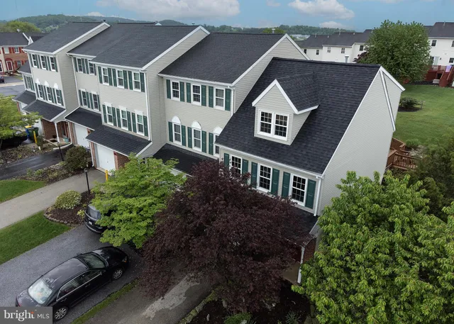 a view of a backyard with potted plants and large trees