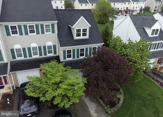 a view of a backyard with potted plants and large trees