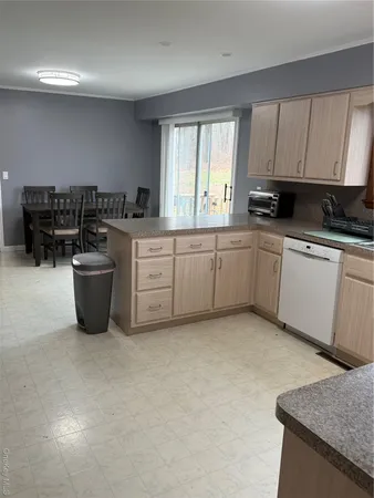 a kitchen with a sink a counter top space and cabinets