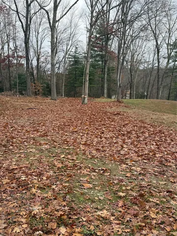 a view of outdoor space