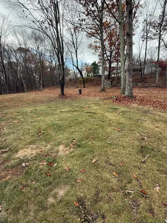 a view of yard with trees