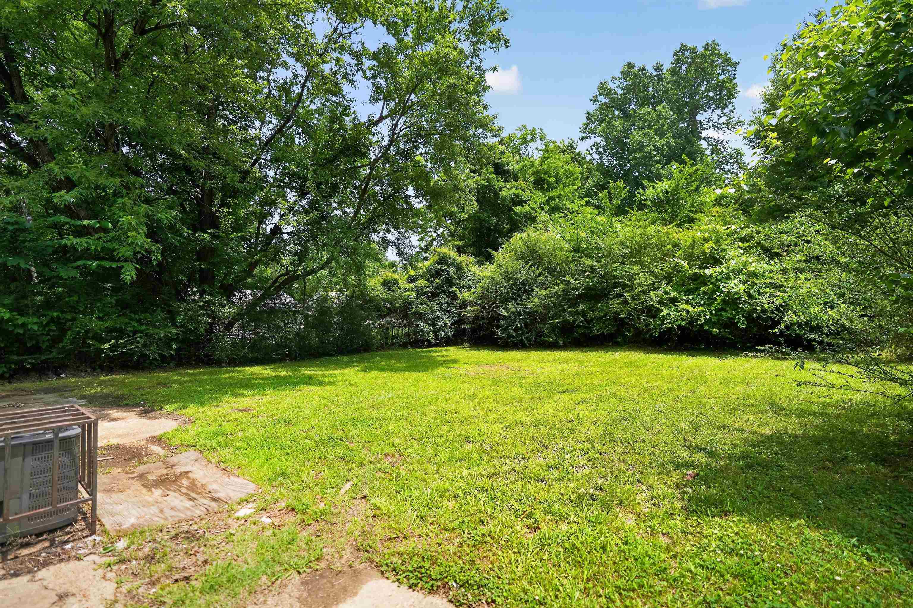 4530 Spring Valley Drive Memphis, TN 38128 - Photo 4 of 15 Expansive green lawn surrounded by mature trees and varied foliage