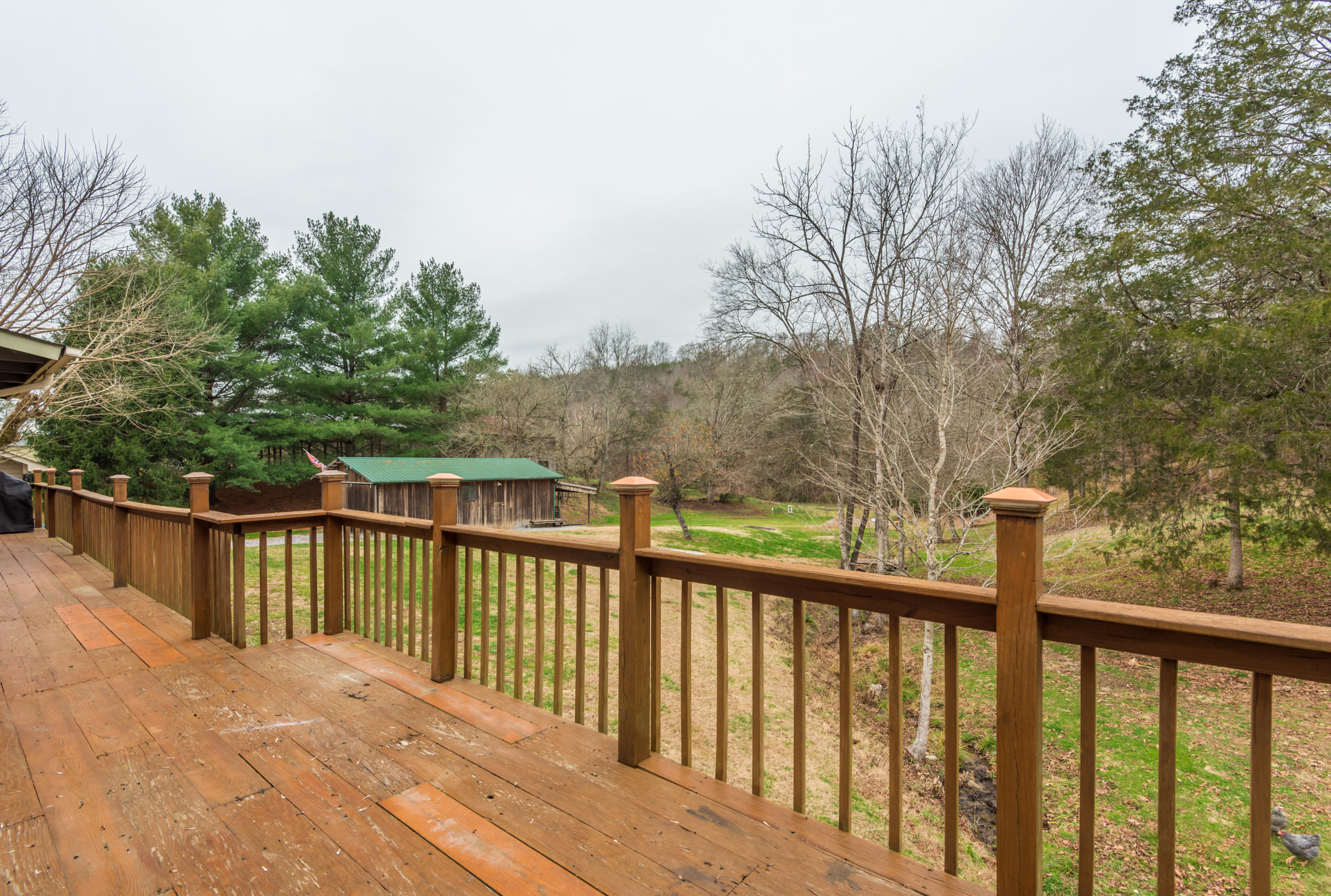 196 Thomas Weaver Road Maynardville, TN 37807 - Photo 31 of 40 196ThomasWeaver-31