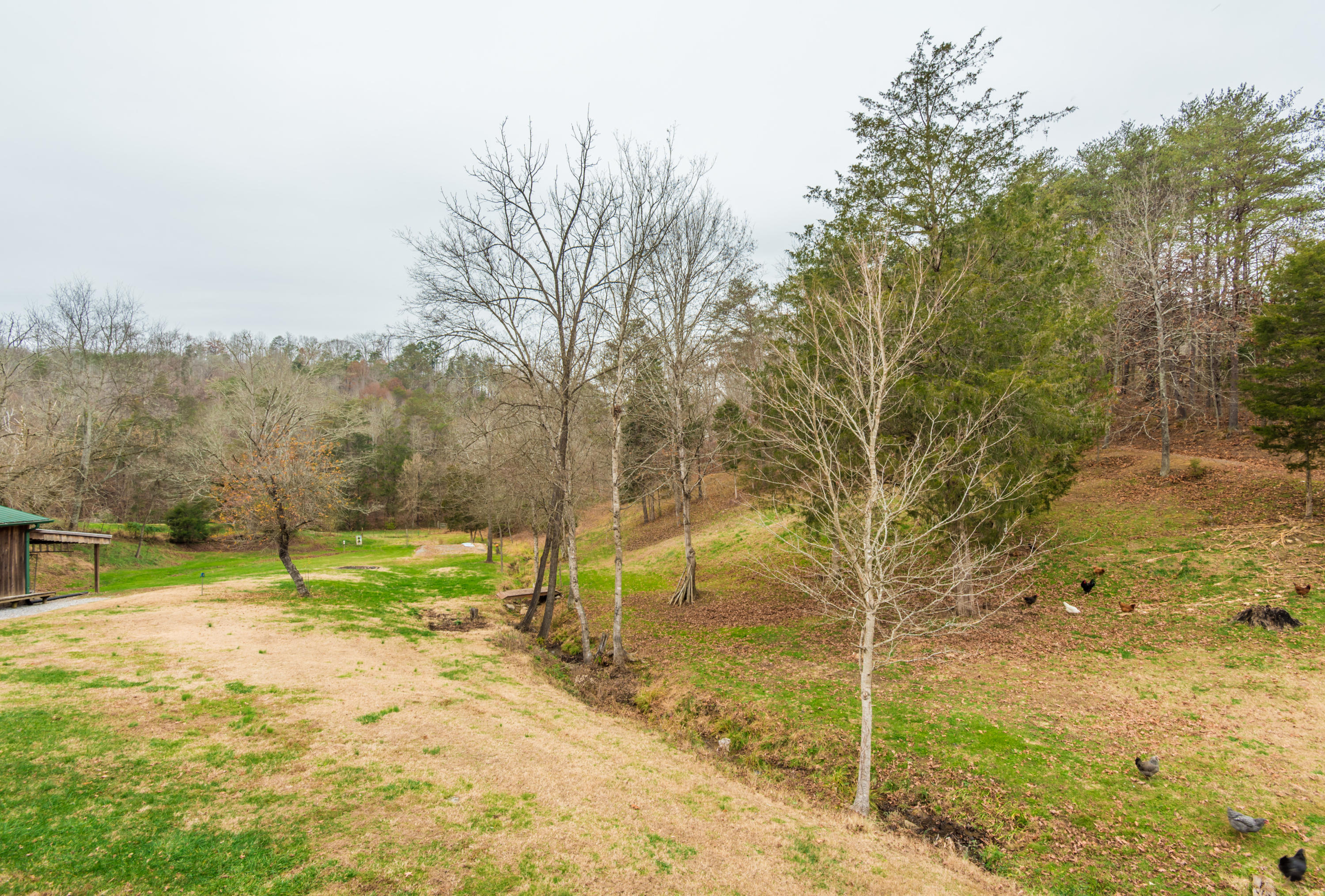196 Thomas Weaver Road Maynardville, TN 37807 - Photo 33 of 40 196ThomasWeaver-33