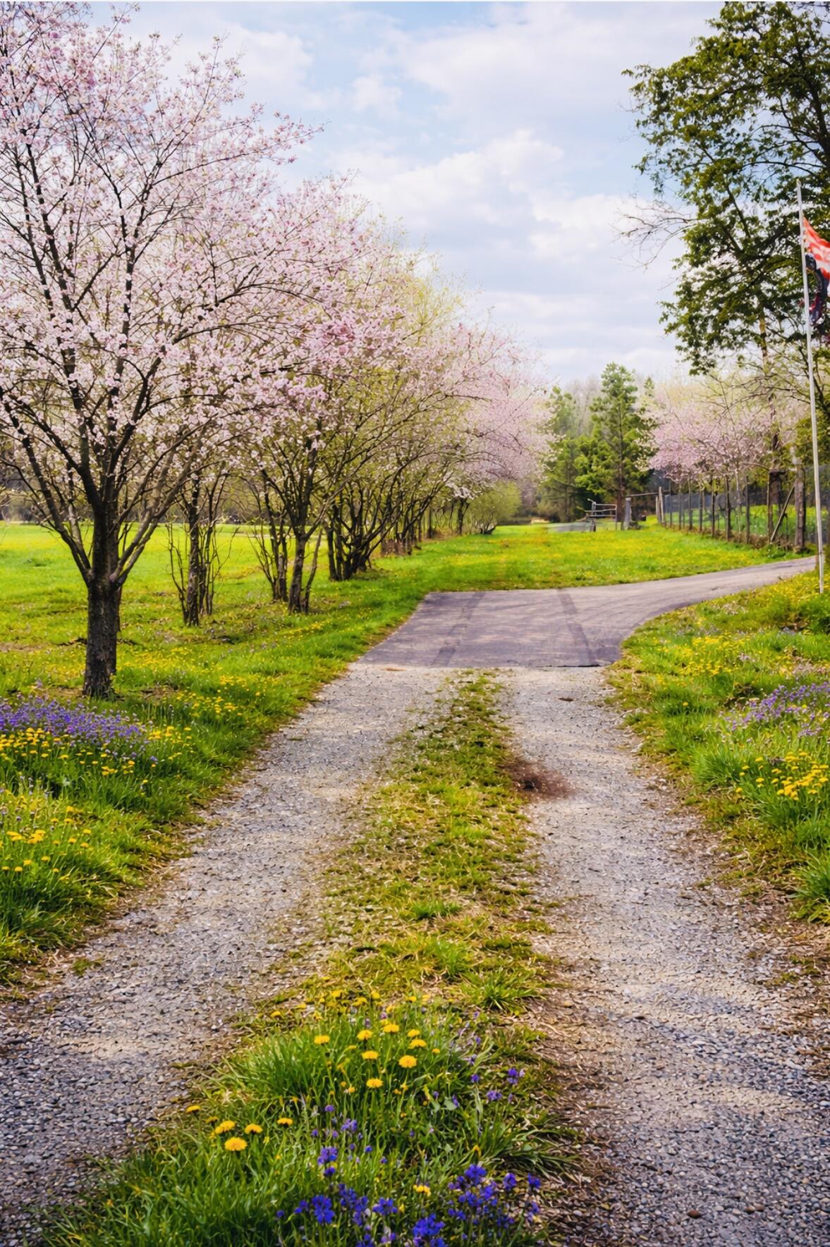 12811 Thatch Road Harrison, TN 37341 - Photo 3 of 39 IMG_0880