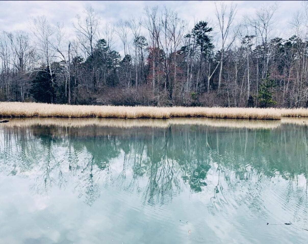 12811 Thatch Road Harrison, TN 37341 - Photo 4 of 39 IMG_0796