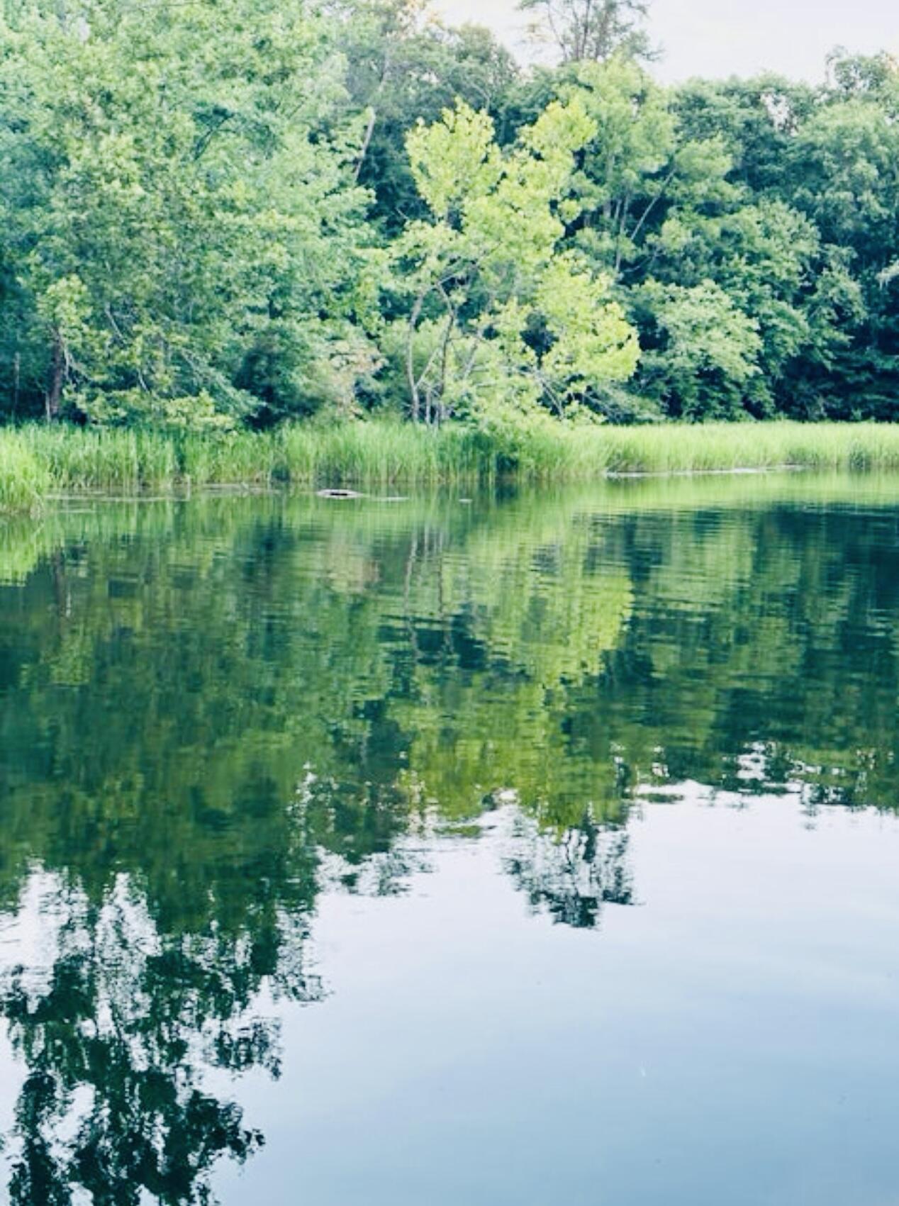 12811 Thatch Road Harrison, TN 37341 - Photo 5 of 39 IMG_0795