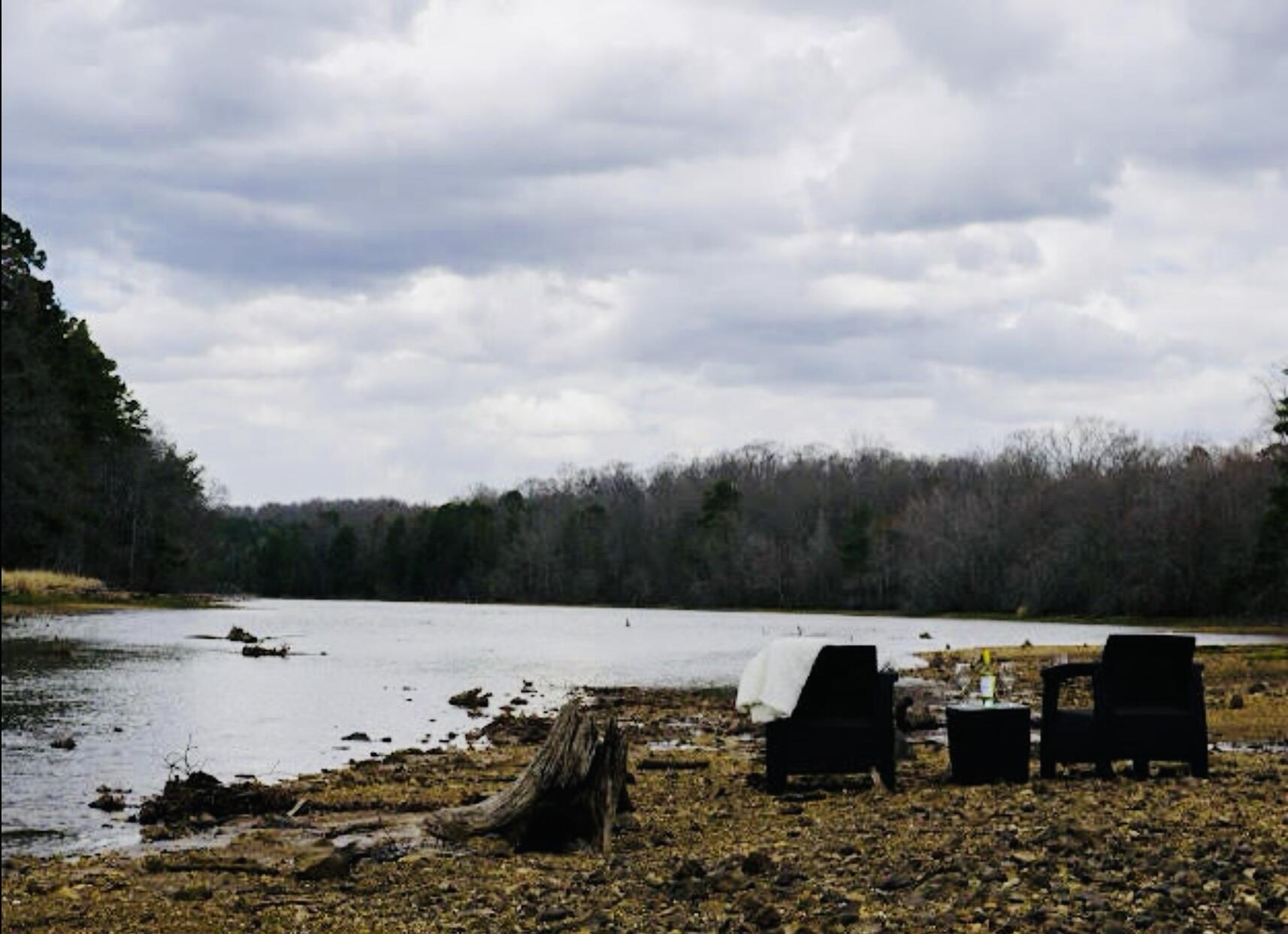 12811 Thatch Road Harrison, TN 37341 - Photo 6 of 39 IMG_0794