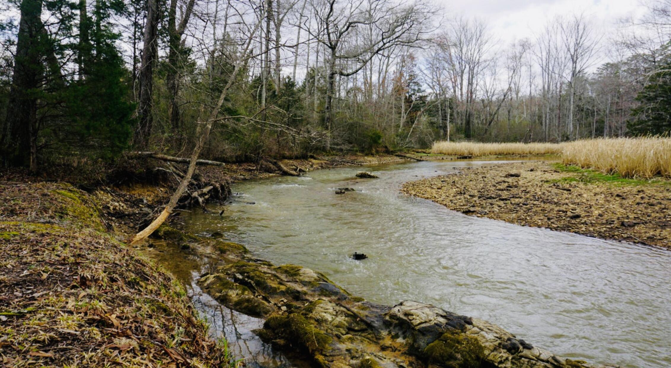 12811 Thatch Road Harrison, TN 37341 - Photo 10 of 39 IMG_0787