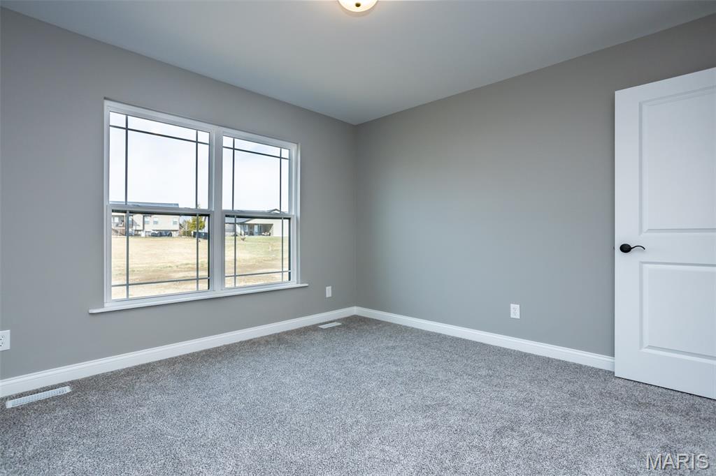 224 George Bush Boulevard Troy, IL 62294 - Photo 26 of 35