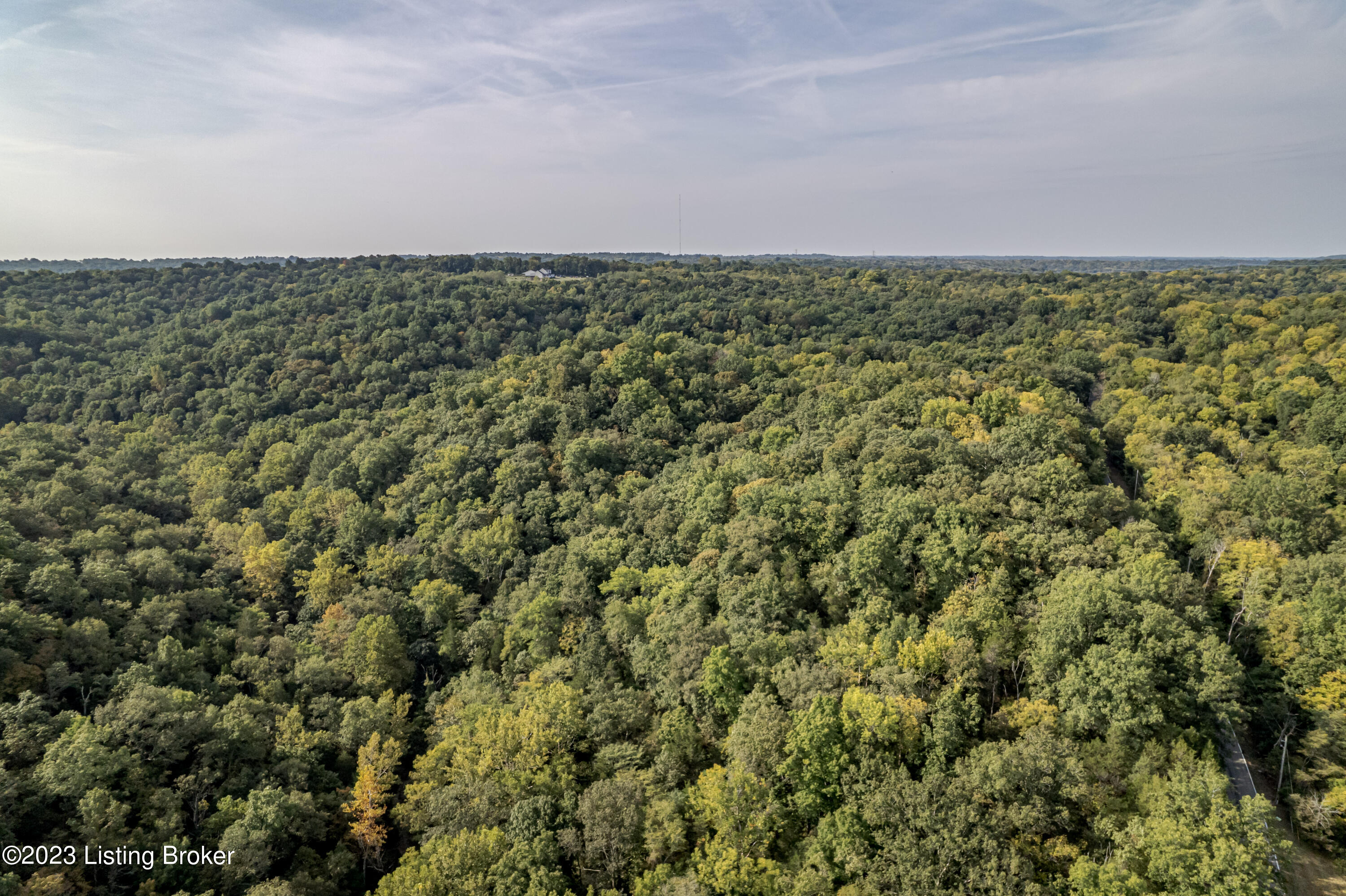 8001 Covington Ridge Road La Grange, KY 40031 - Photo 24 of 27 DJI_0850