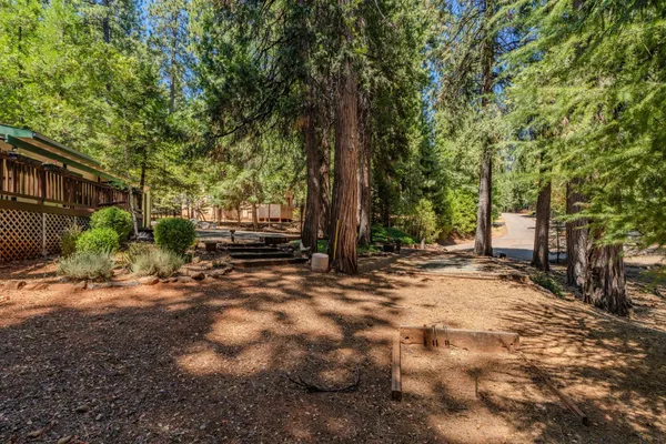 a view of backyard with green space