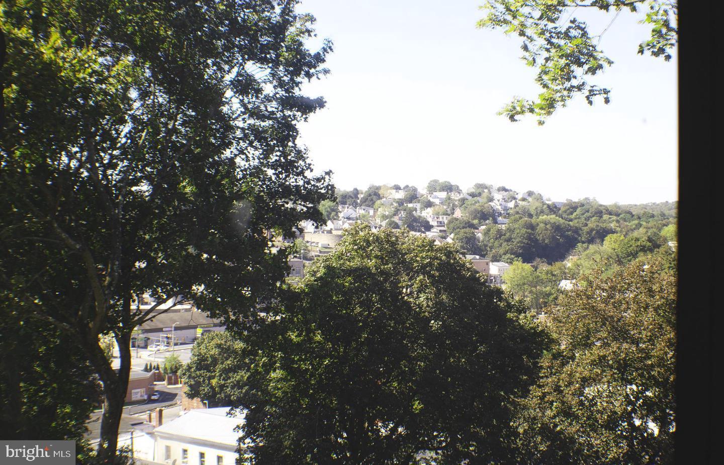 426 Adams Street Pottsville, PA 17901 - Photo 9 of 10 Scenic view framed by lush greenery.