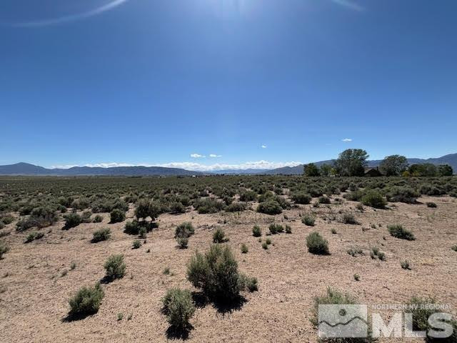 365 Ludwig Lane Smith, NV 89430 - Photo 3 of 5 a view of a beach with a mountain in the back yard