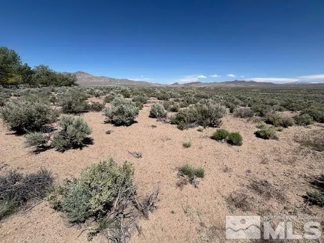 $95,000 | 365 Ludwig Lane, Smith, NV 89430