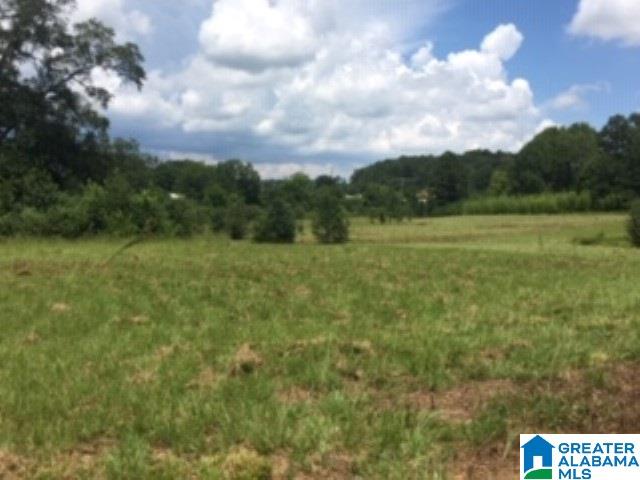 0 Hackney Street, Unit 8 29 ACRES Lincoln, AL 35096 - Photo 8 of 18