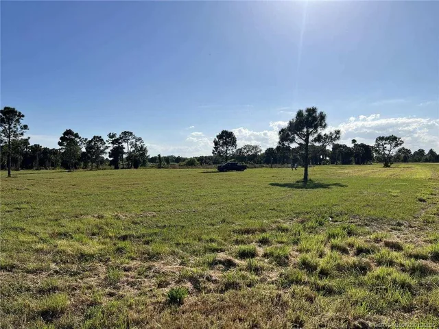 a view of a tree in a field