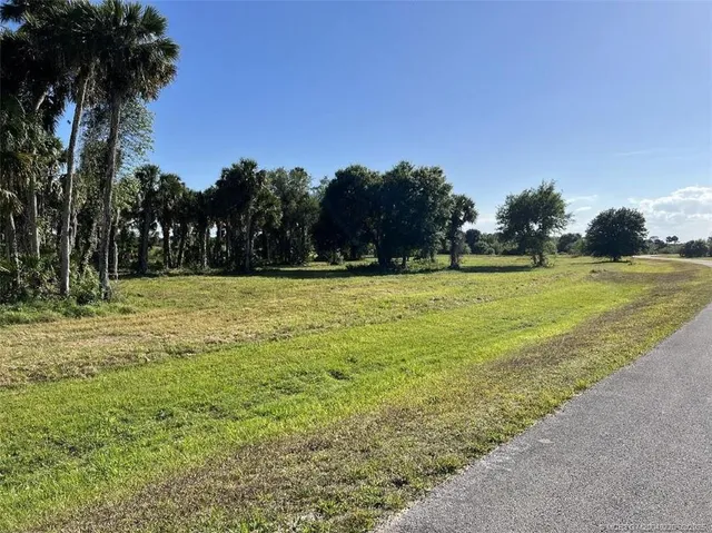 a view of a swimming pool and trees in the background