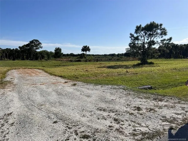 a view of a field with an trees