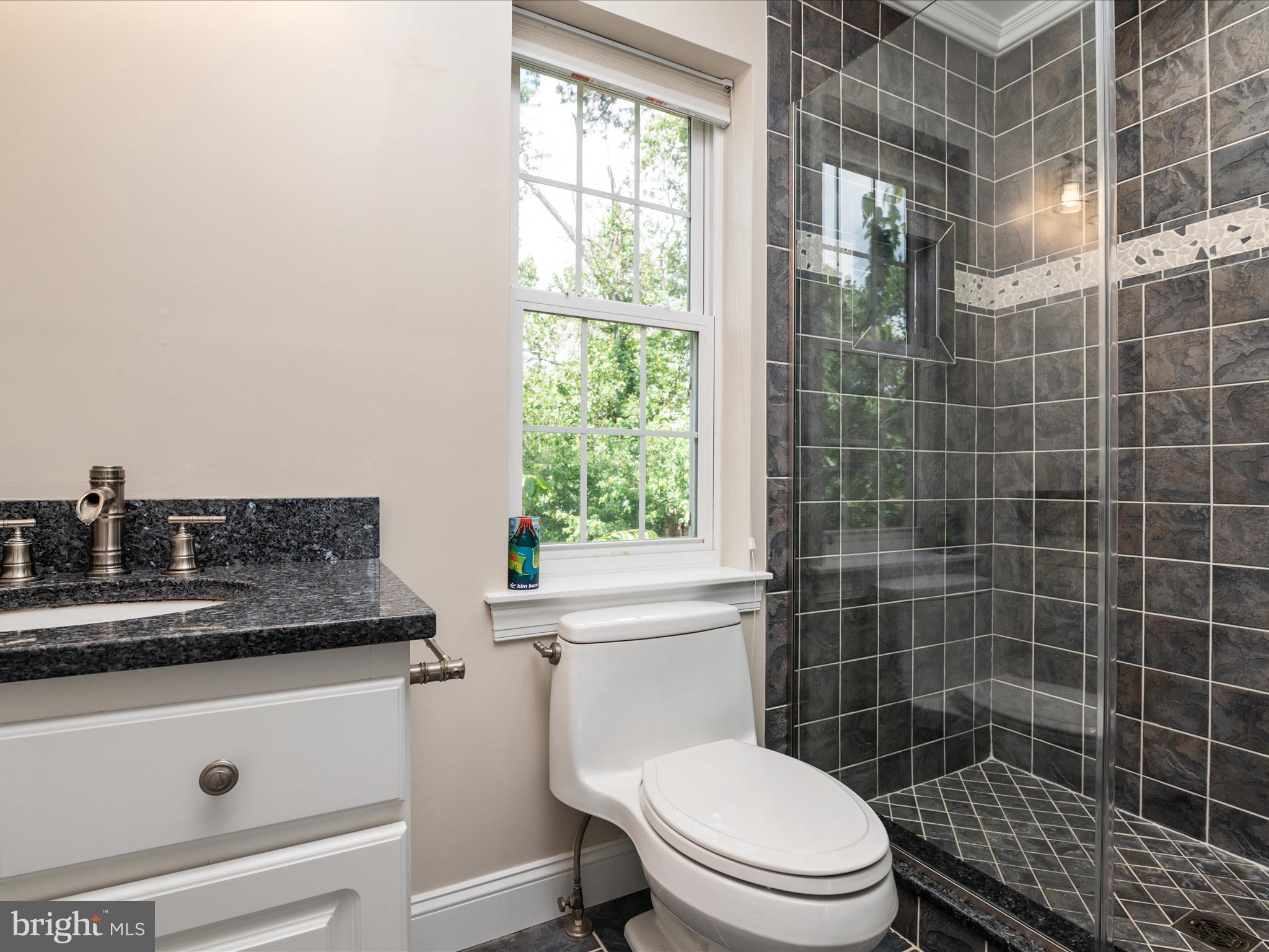 23 Elm Road Riva, MD 21140 - Photo 28 of 66 a bathroom with a toilet a sink and a shower