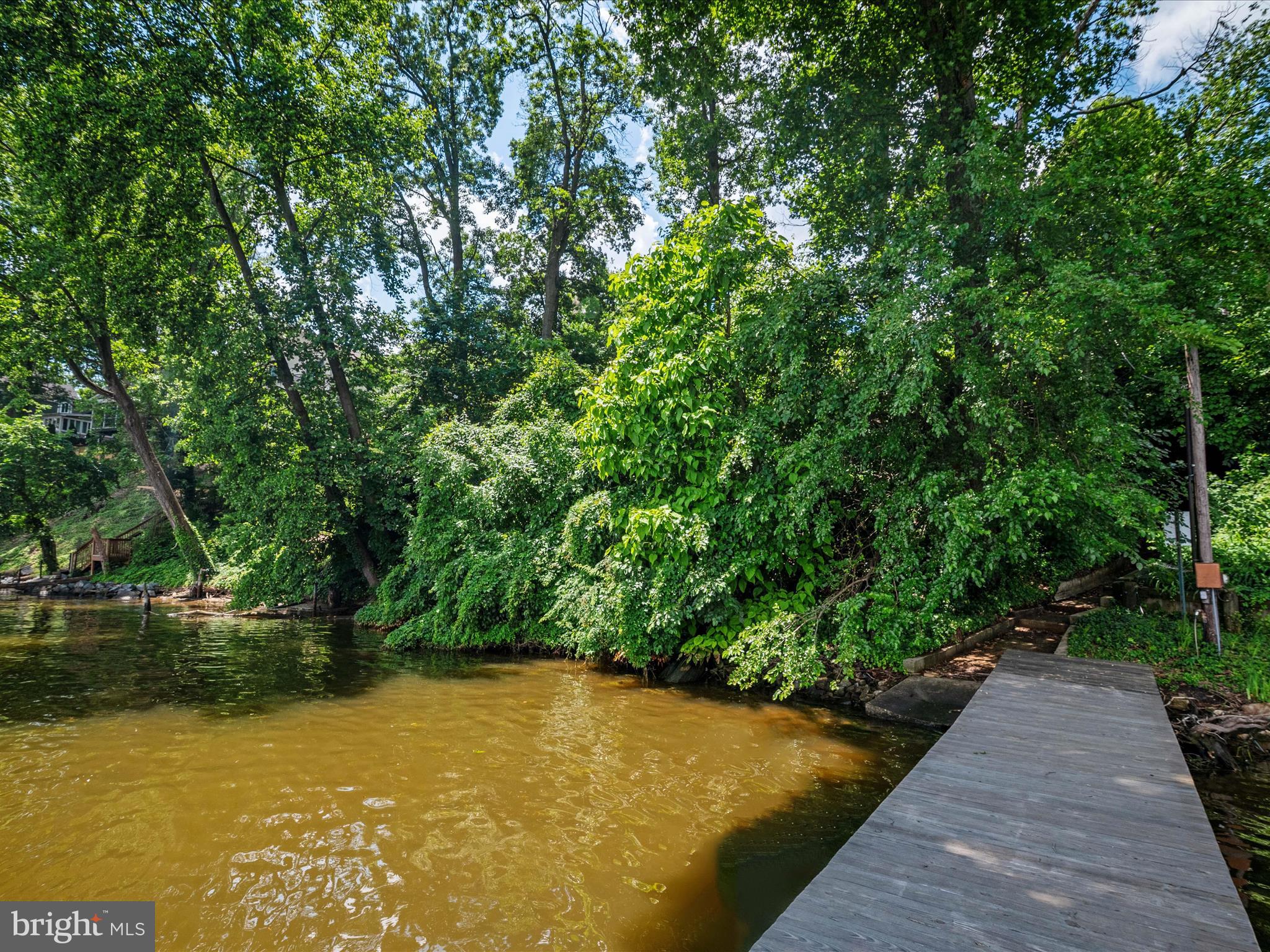 23 Elm Road Riva, MD 21140 - Photo 58 of 66 a view of a yard with plants and large trees