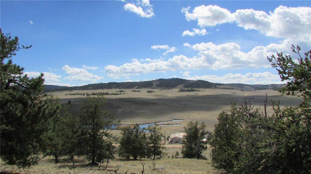 32 Yellowstone Road Hartsel, CO 80449 - Photo 2 of 16 Gallery Image 2