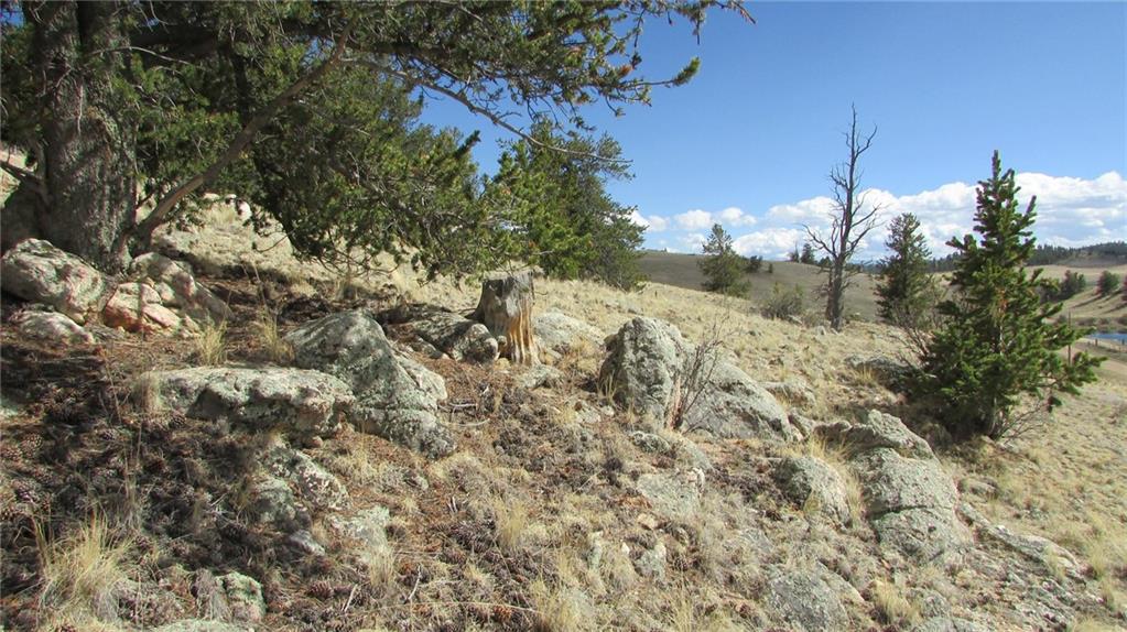 32 Yellowstone Road Hartsel, CO 80449 - Photo 12 of 16 Gallery Image 12