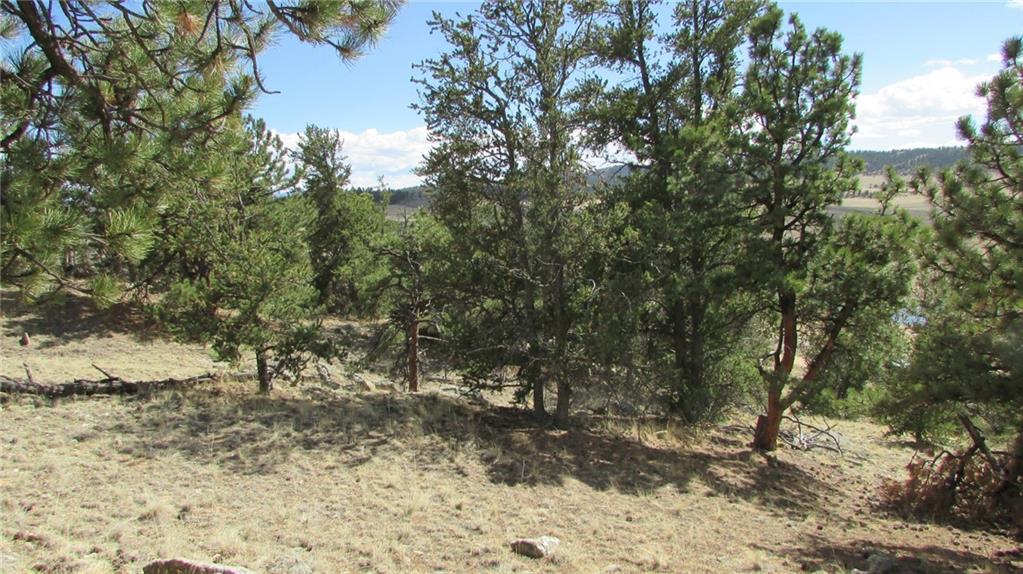 32 Yellowstone Road Hartsel, CO 80449 - Photo 14 of 16 Gallery Image 14