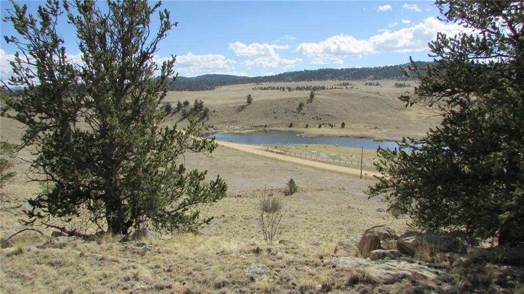 32 Yellowstone Road Hartsel, CO 80449 - Photo 15 of 16 Gallery Image 15