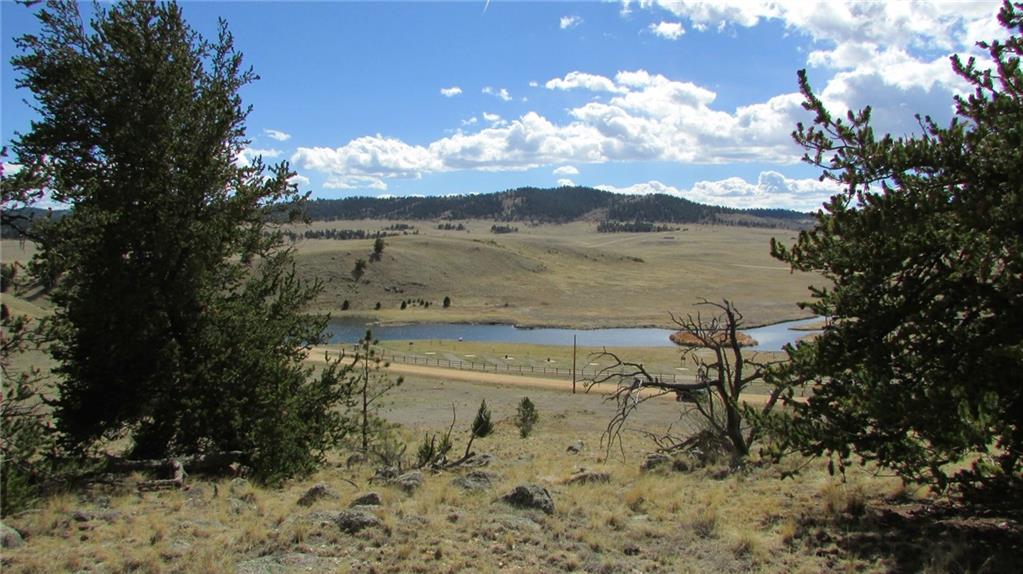 32 Yellowstone Road Hartsel, CO 80449 - Photo 3 of 16 Gallery Image 3