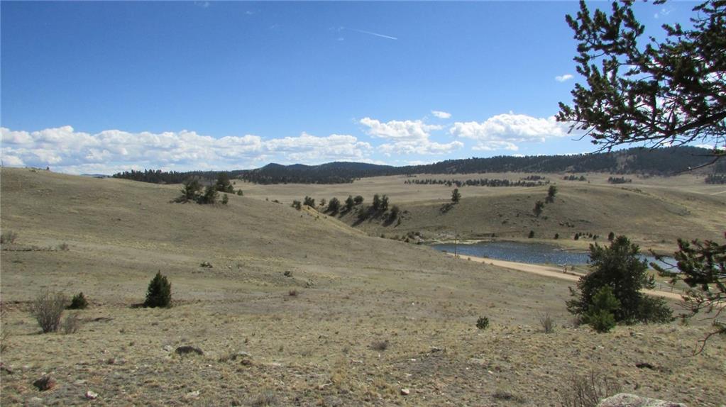 32 Yellowstone Road Hartsel, CO 80449 - Photo 5 of 16 Gallery Image 5