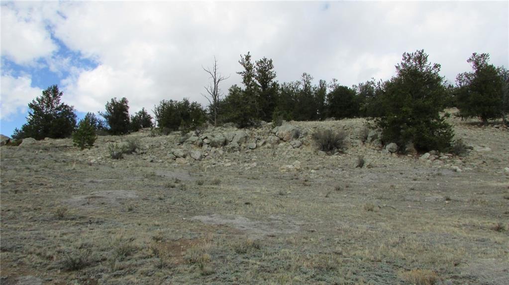 32 Yellowstone Road Hartsel, CO 80449 - Photo 8 of 16 Gallery Image 8