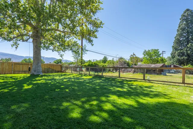 a view of a park with large trees