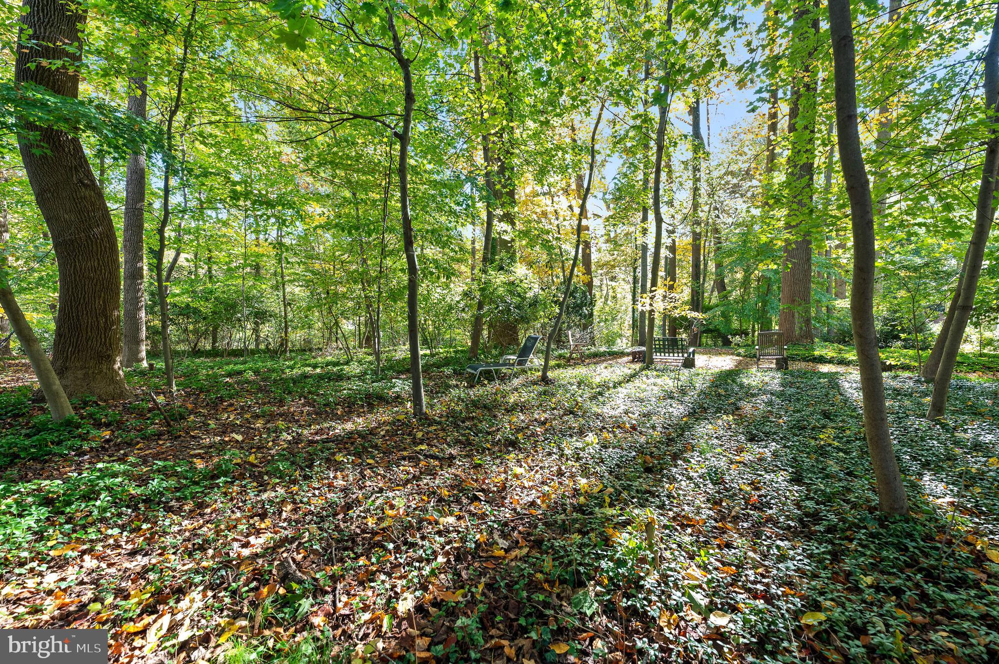 101 West Possum Hollow Road Wallingford, PA 19086 - Photo 34 of 34 Gallery Image 34