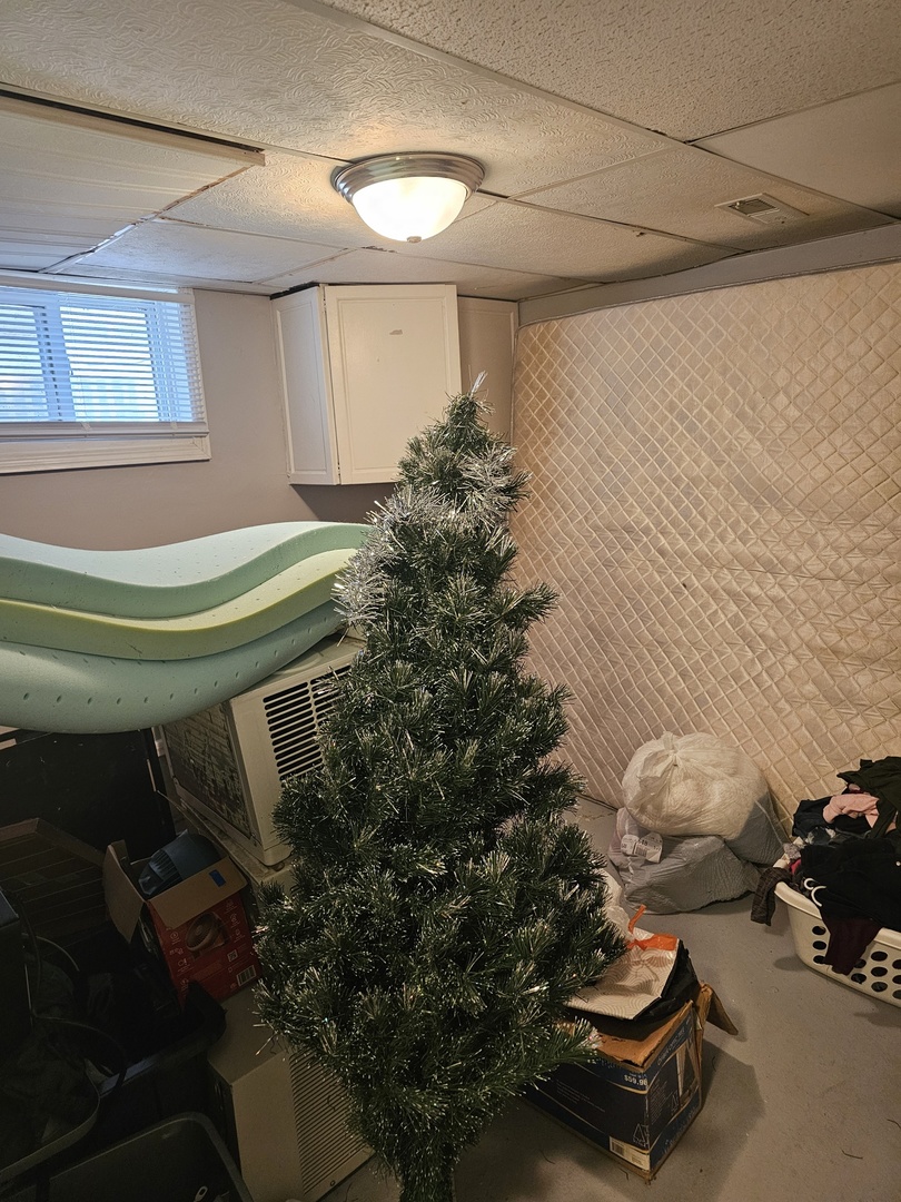1115 14th Street Moline, IL 61265 - Photo 9 of 14 a room with furniture and a potted plant