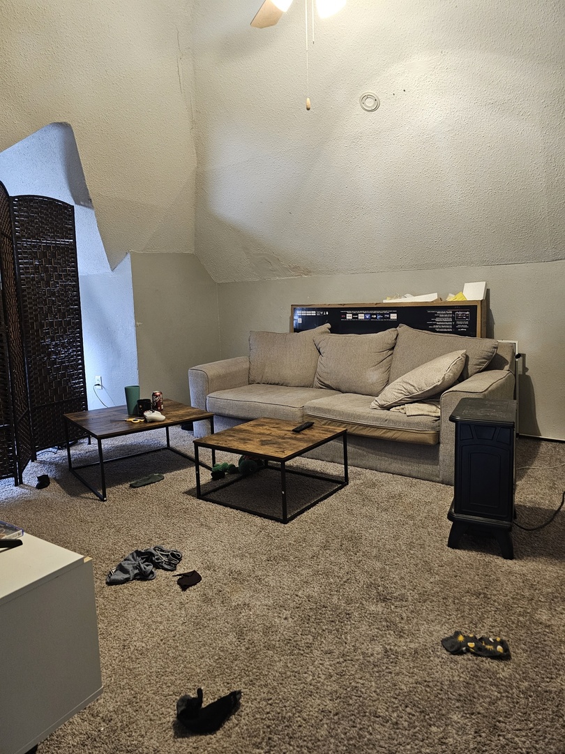 1115 14th Street Moline, IL 61265 - Photo 10 of 14 a living room with furniture and a couch