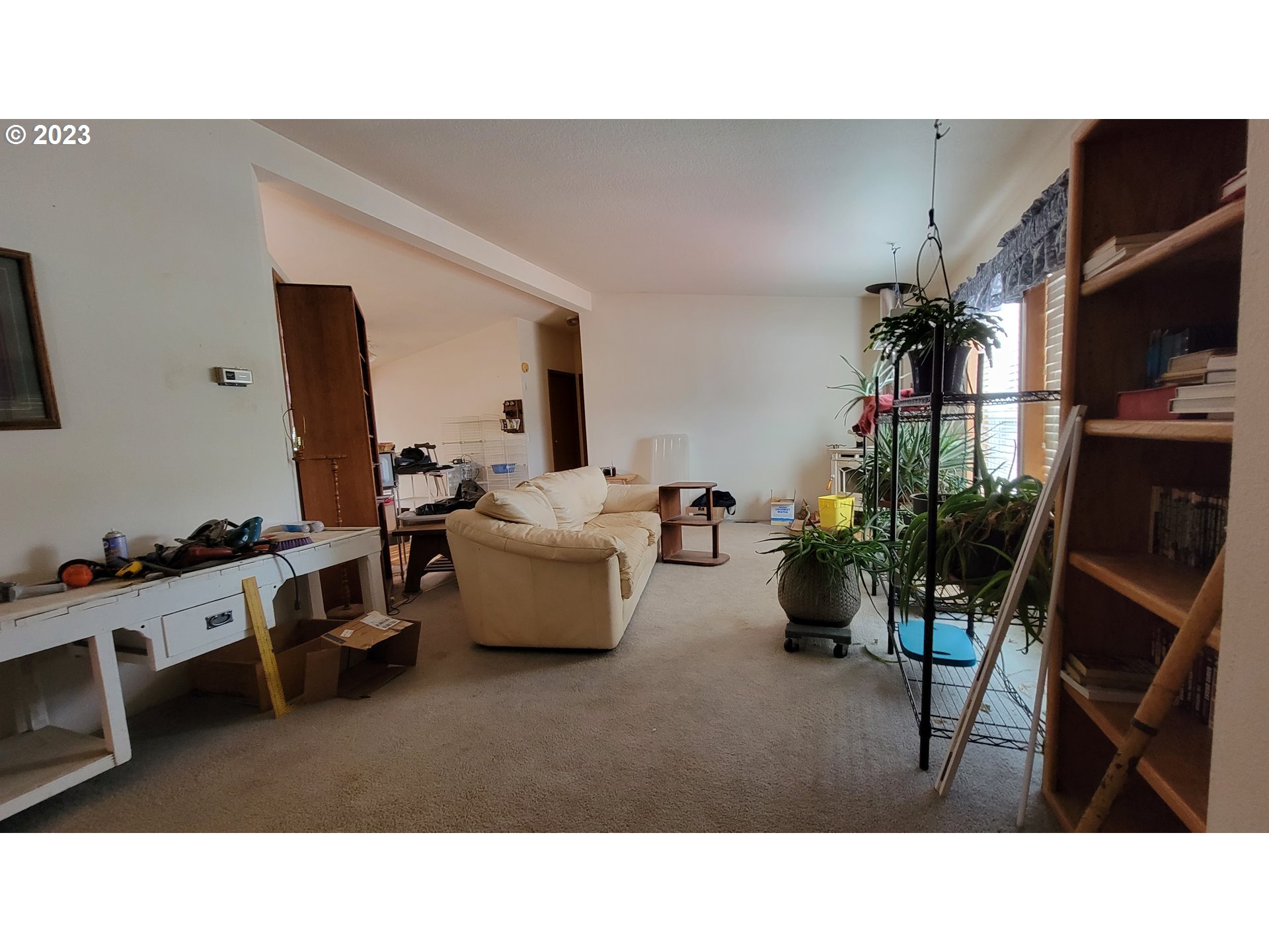 208 Buck Springs Road Camas Valley, OR 97416 - Photo 3 of 22 a living room with furniture and a potted plant