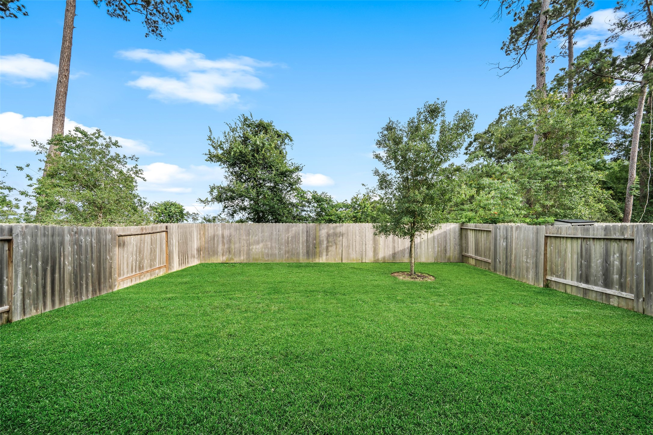 3628 Cub Drive Conroe, TX 77301 - Photo 31 of 32 Notice....your fence is in GREAT condition!