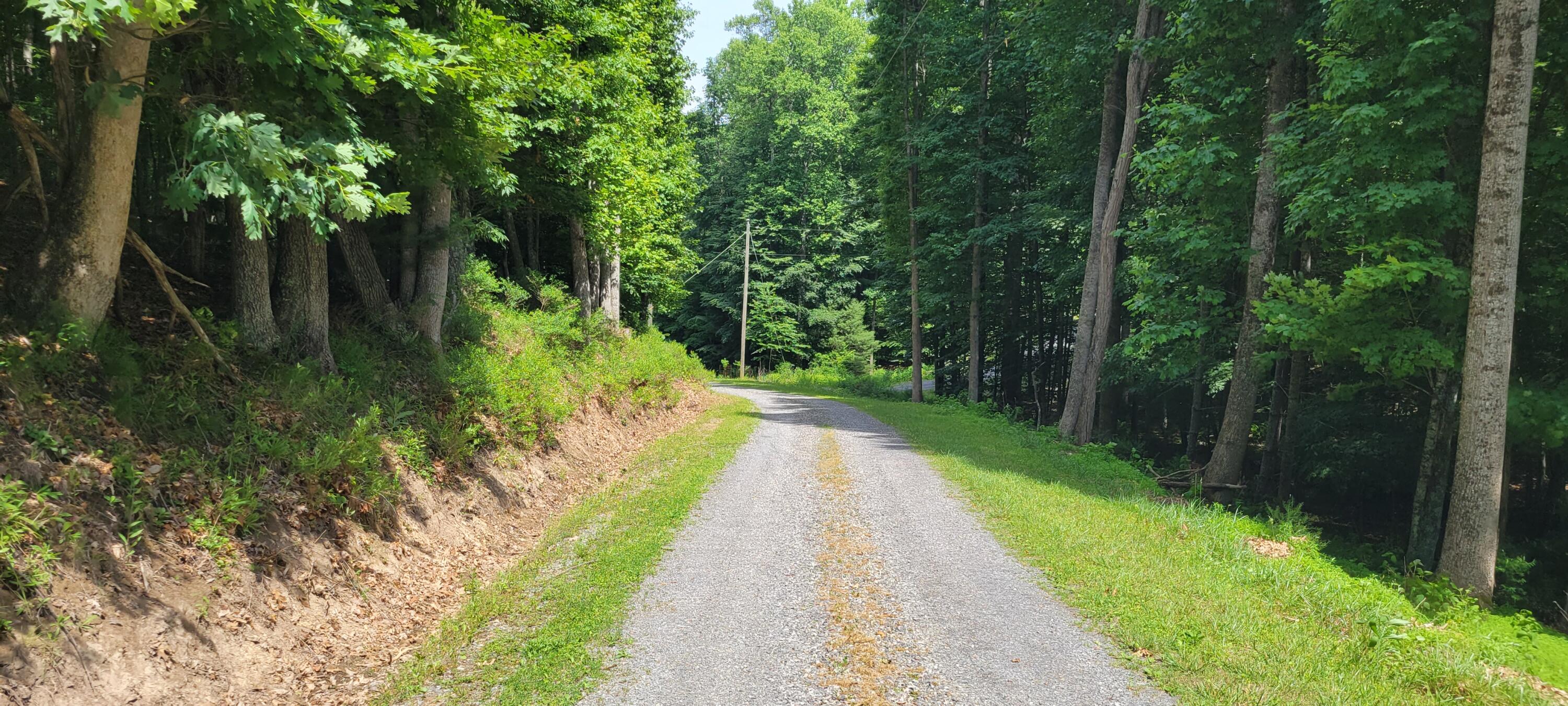 Lot 3 Spice Run Road Hillsboro, WV 24946 - Photo 10 of 15 Gallery Image 10
