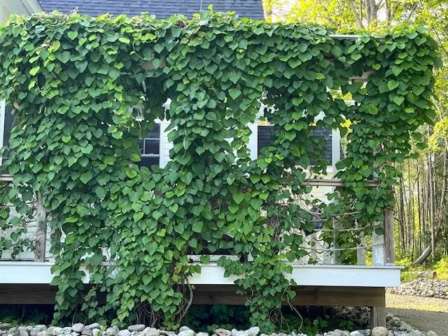 $1,725,000 | 115-a&b Pirates Cove Road, Stockton Springs, ME 04981