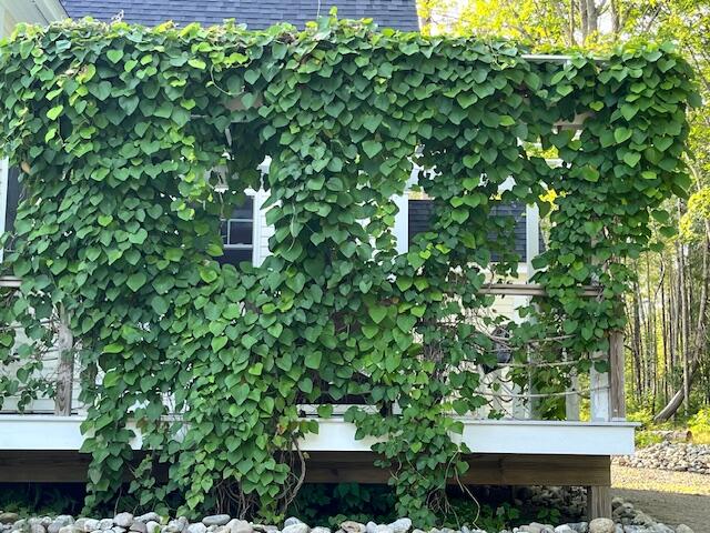 115-a&b Pirates Cove Road Stockton Springs, ME 04981 - Photo 69 of 92 grounds9