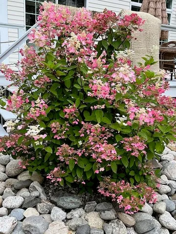 $1,725,000 | 115-a&b Pirates Cove Road, Stockton Springs, ME 04981