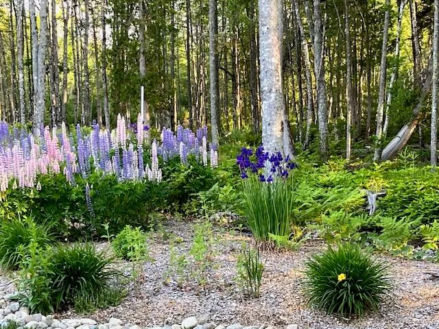 $1,725,000 | 115-a&b Pirates Cove Road, Stockton Springs, ME 04981