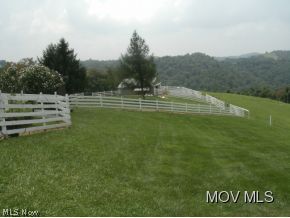63 American Ridge Road New Martinsville, WV 26155 - Photo 19 of 24 Paddocks for goats!