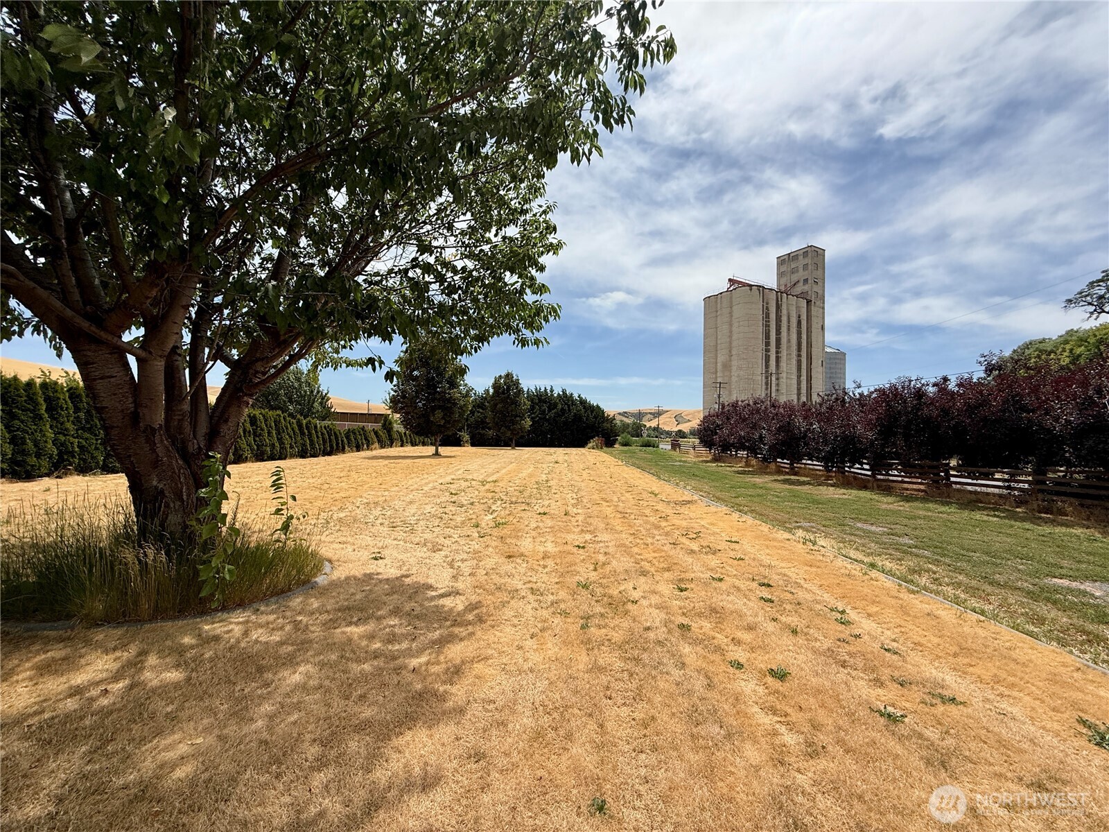 110 Main Road Dayton, WA 99328 - Photo 31 of 36 a view of empty space with large trees