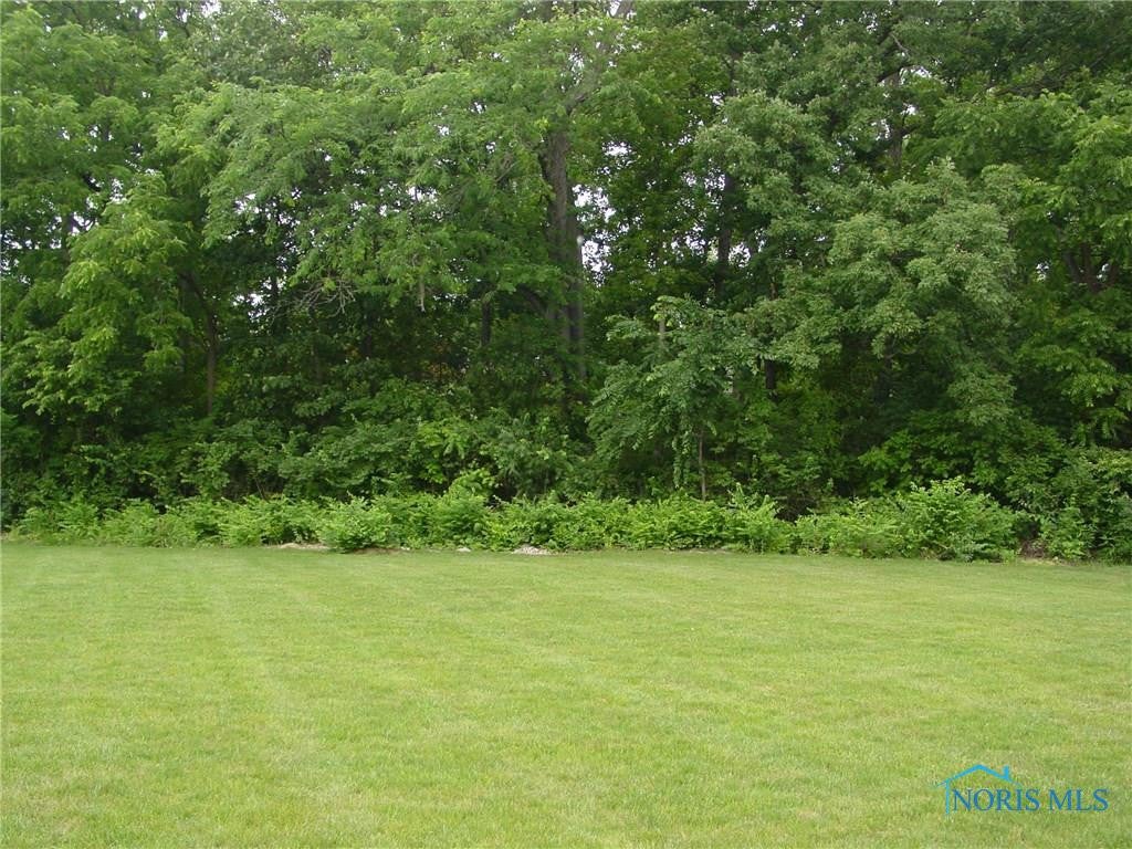 26041 Seminary Road Perrysburg, OH 43551 - Photo 30 of 30 Gallery Image 30