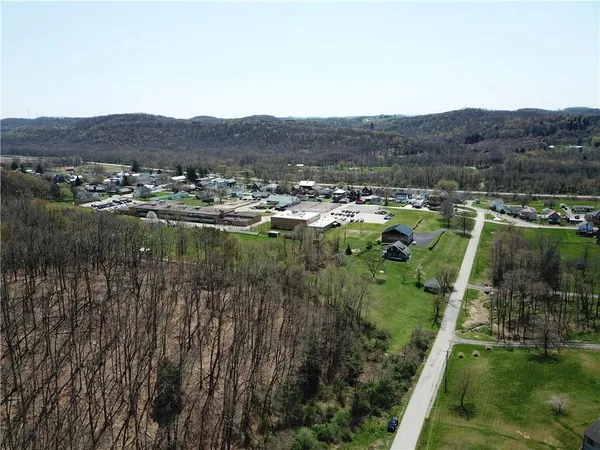 a view of a lush green hillside and houses