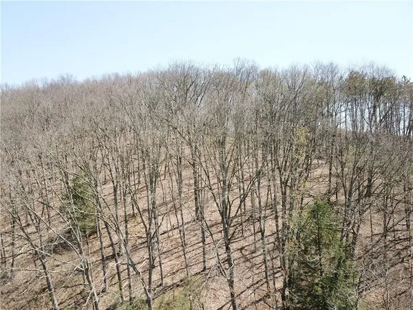 a view of a dry yard with mountains in the background