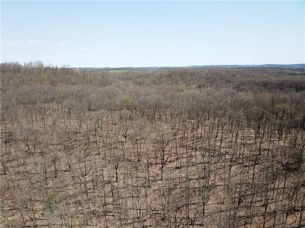a view of a dry field